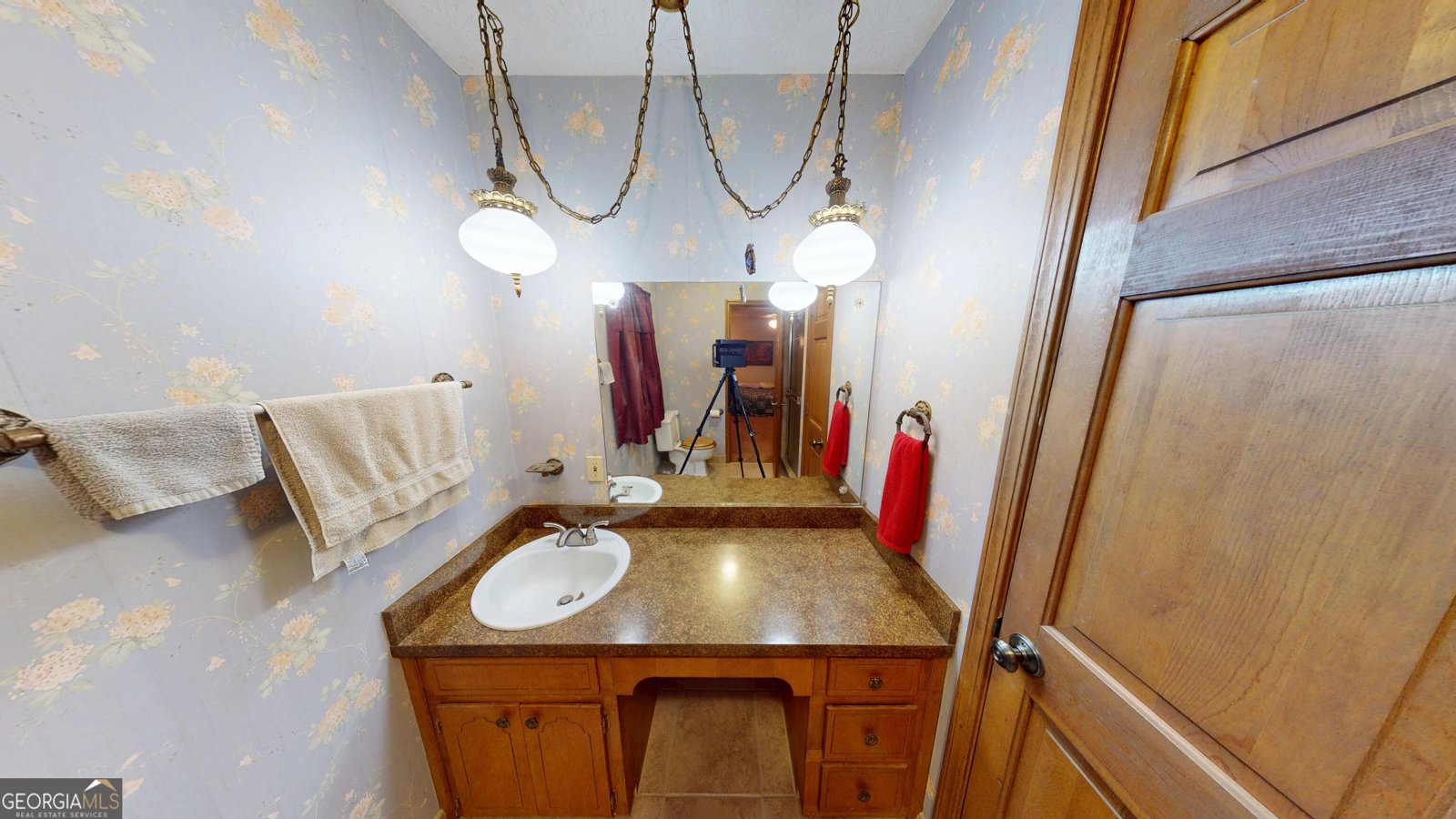 2802 Lakeview Court Buford - 11