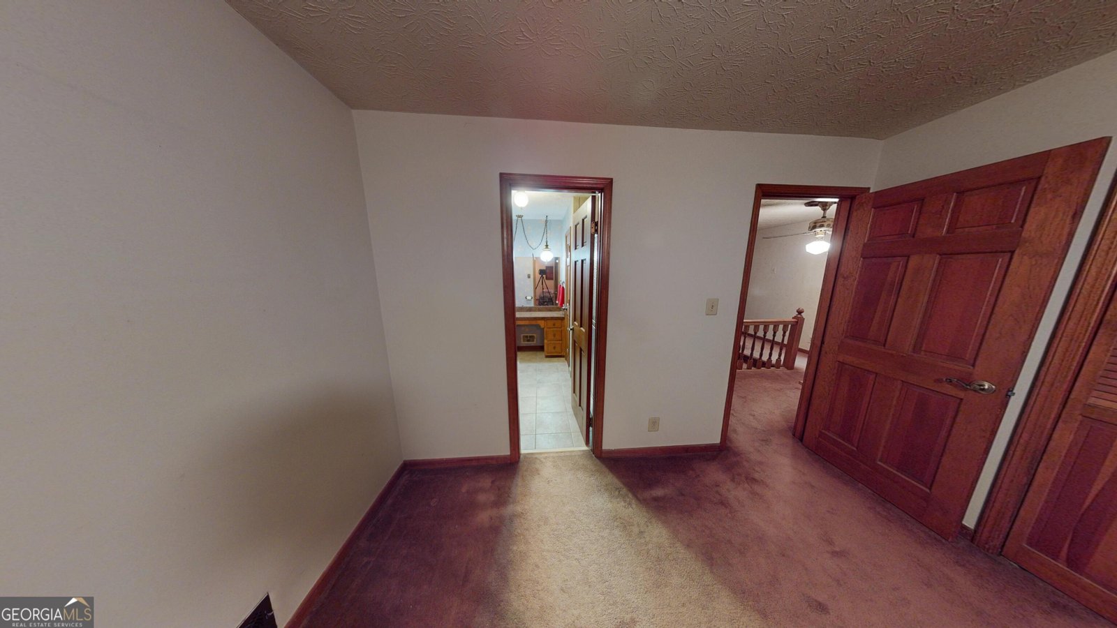 2802 Lakeview Court Buford - 9