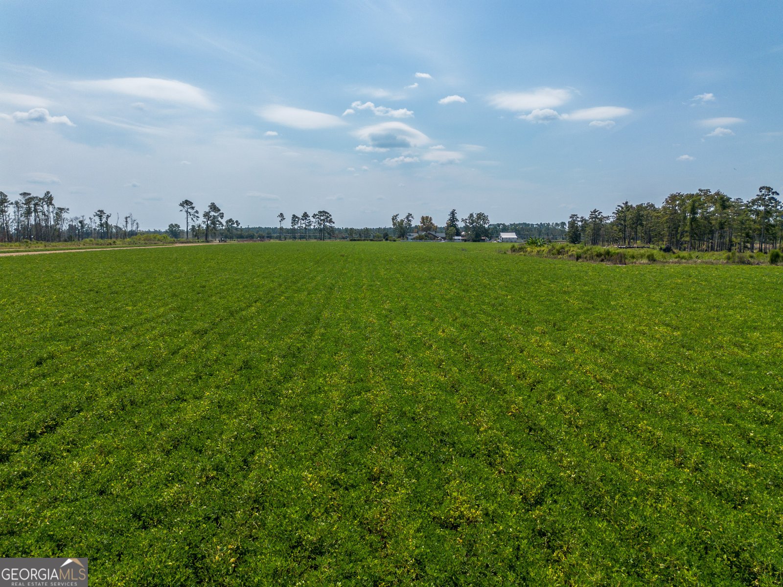 1671 Warren Carter Road Douglas - Photo 13