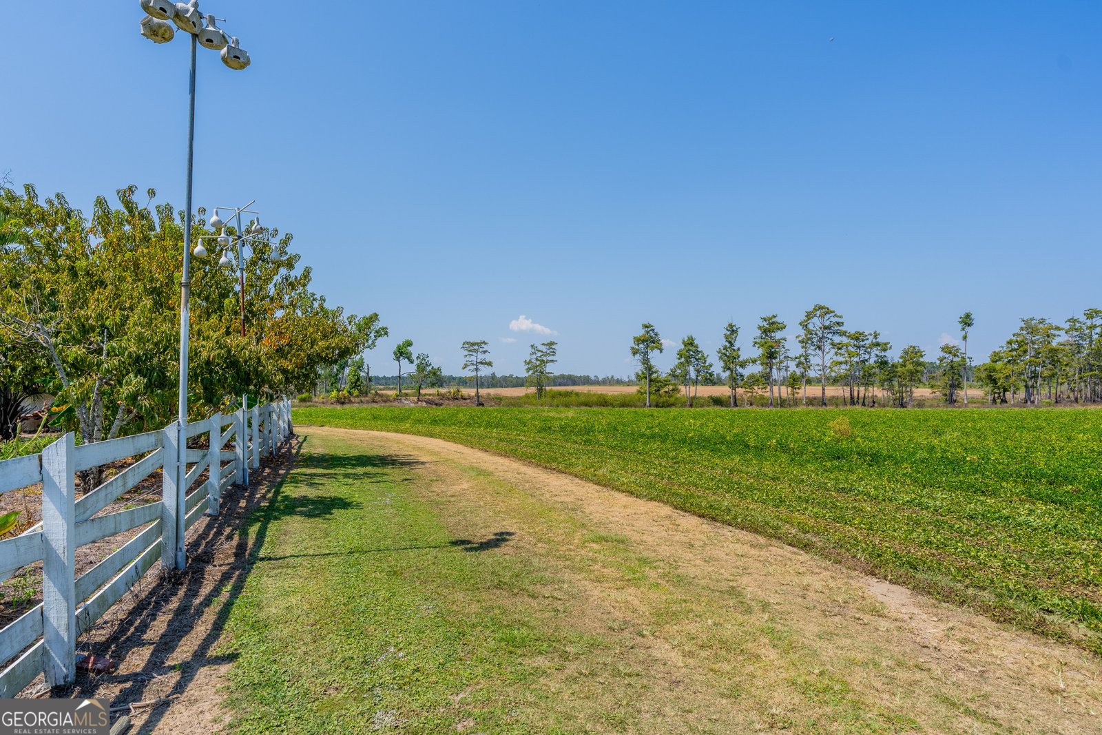 1671 Warren Carter Road Douglas - Photo 14