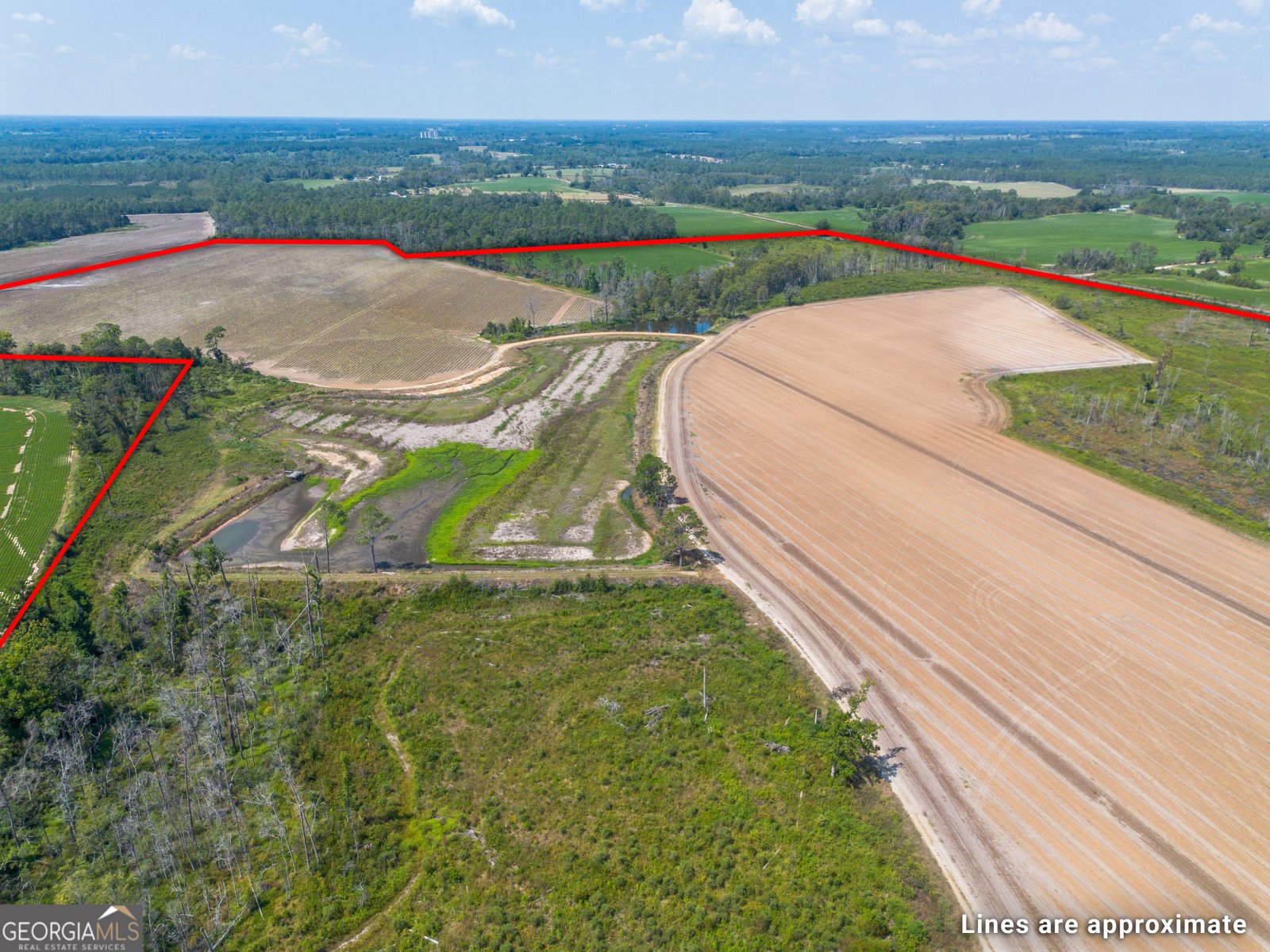 1671 Warren Carter Road Douglas - Photo 17