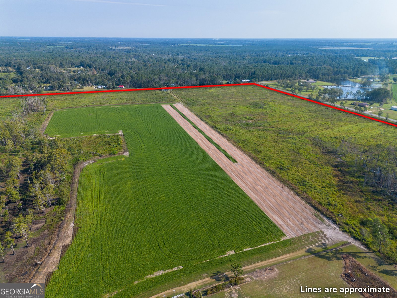 1671 Warren Carter Road Douglas - Photo 19