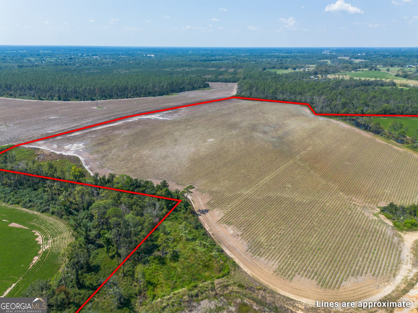 1671 Warren Carter Road Douglas - Photo 21