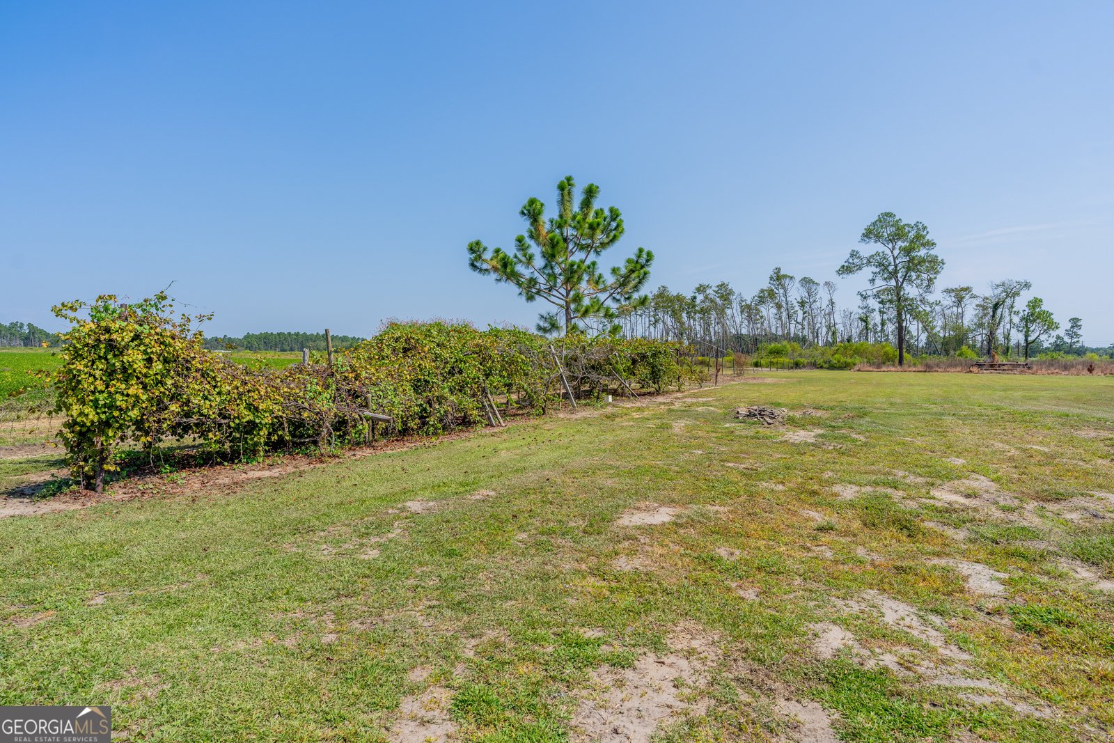 1671 Warren Carter Road Douglas - Photo 25