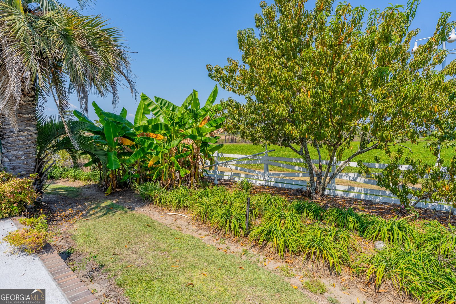 1671 Warren Carter Road Douglas - Photo 28