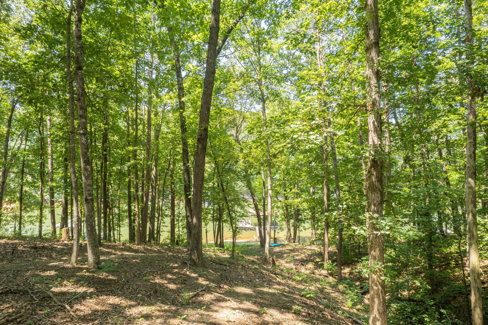 396 Cardinal Lane Toccoa - Photo 77