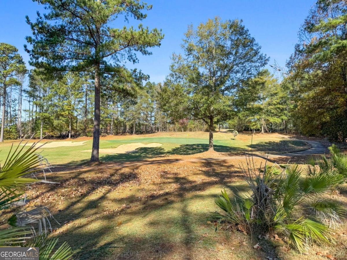 6857 Louis Drive Locust Grove - 26