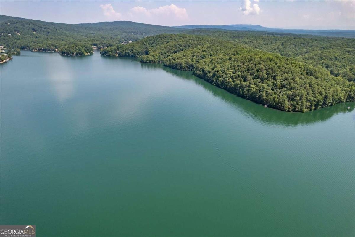 609 Spring Water Waleska - 4