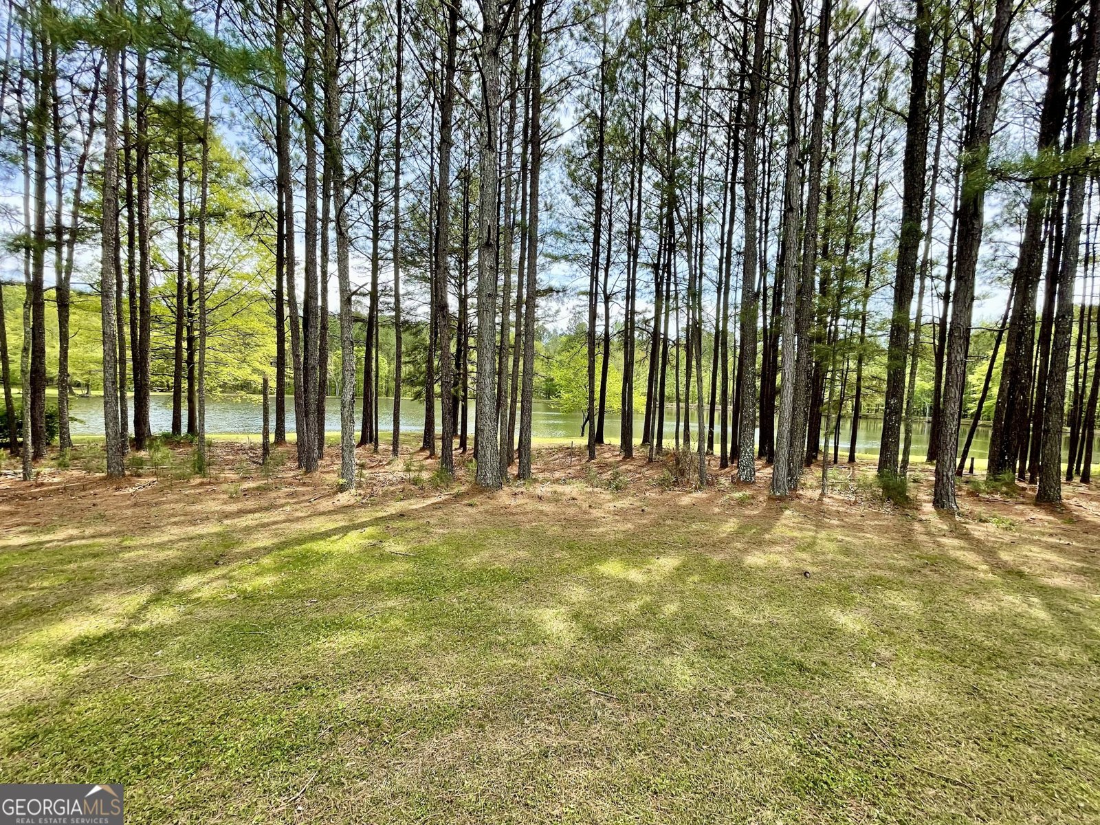 293 Avery Road Rome - 55