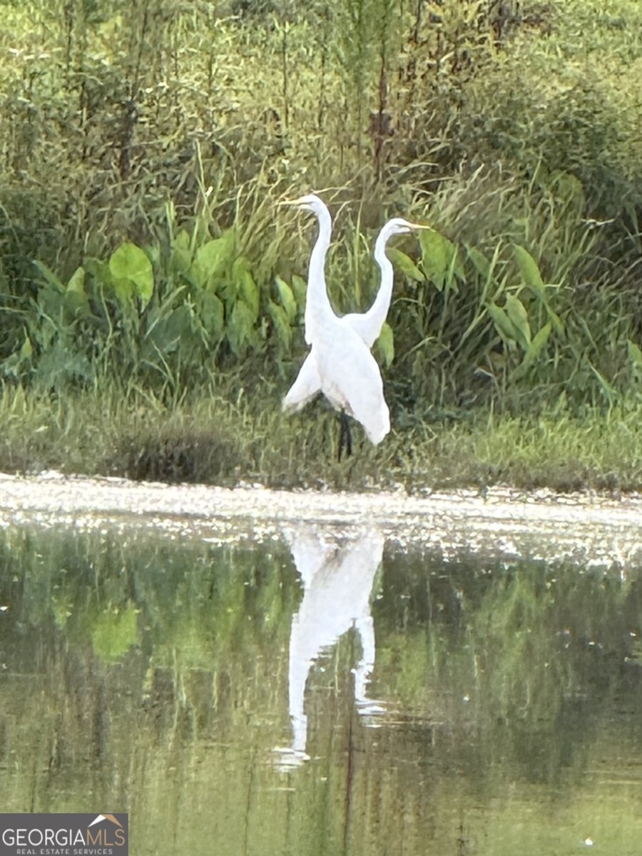 1191 Aderhold Rogers Road Commerce - Photo 30