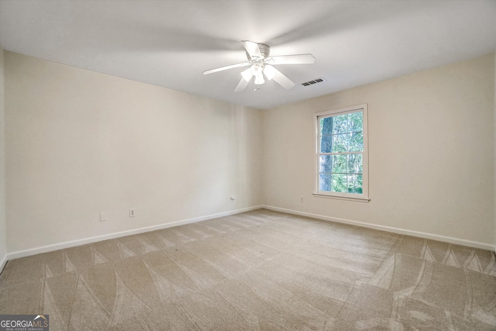 197 Carriage Trace Marietta - 29
