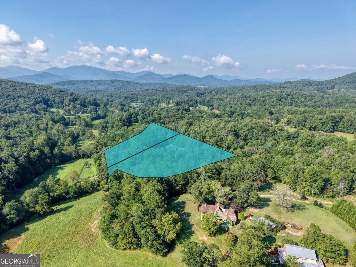 192 Misty Morning Drive Blairsville - 52