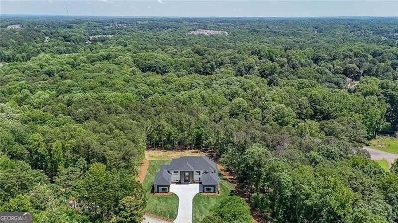 2843 Bogan Road Buford - 3