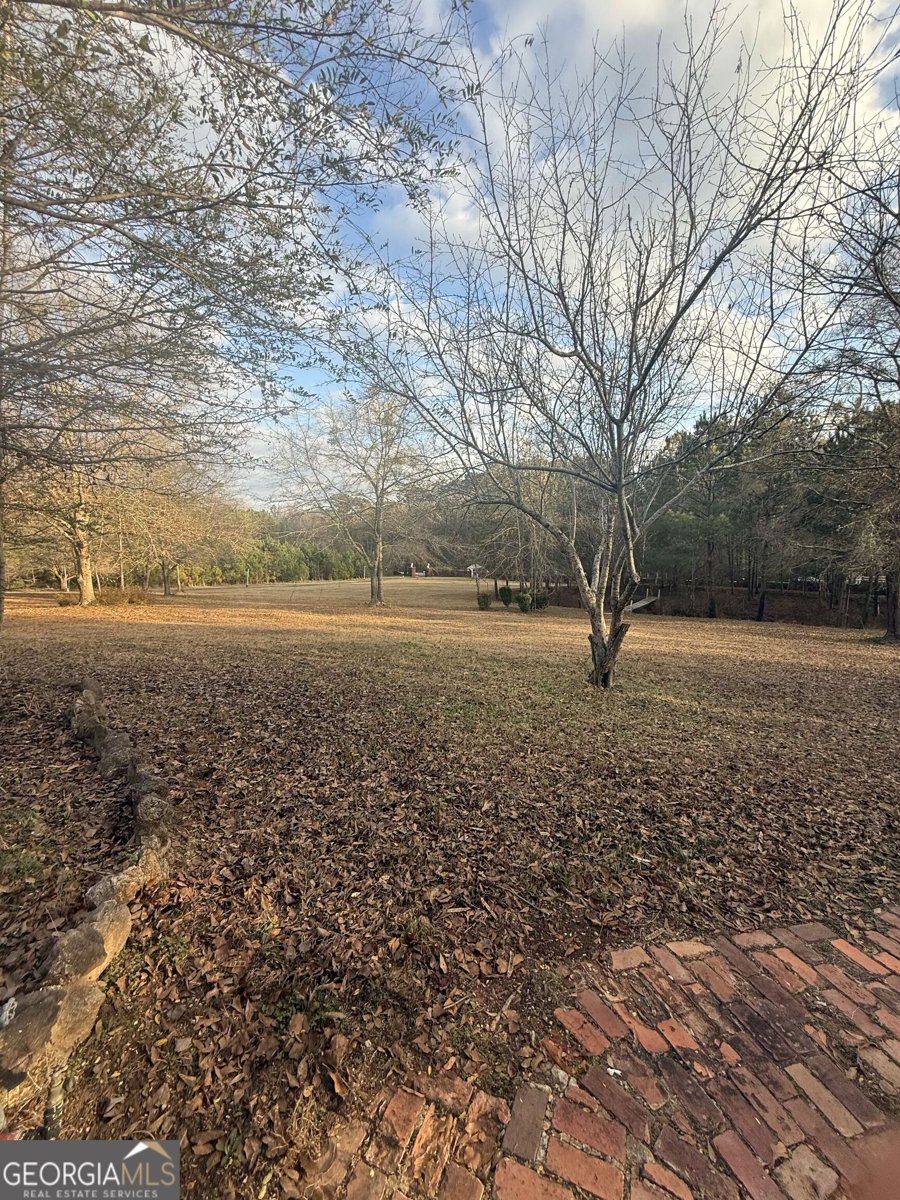 3861 Newnan Road Griffin - Photo 83