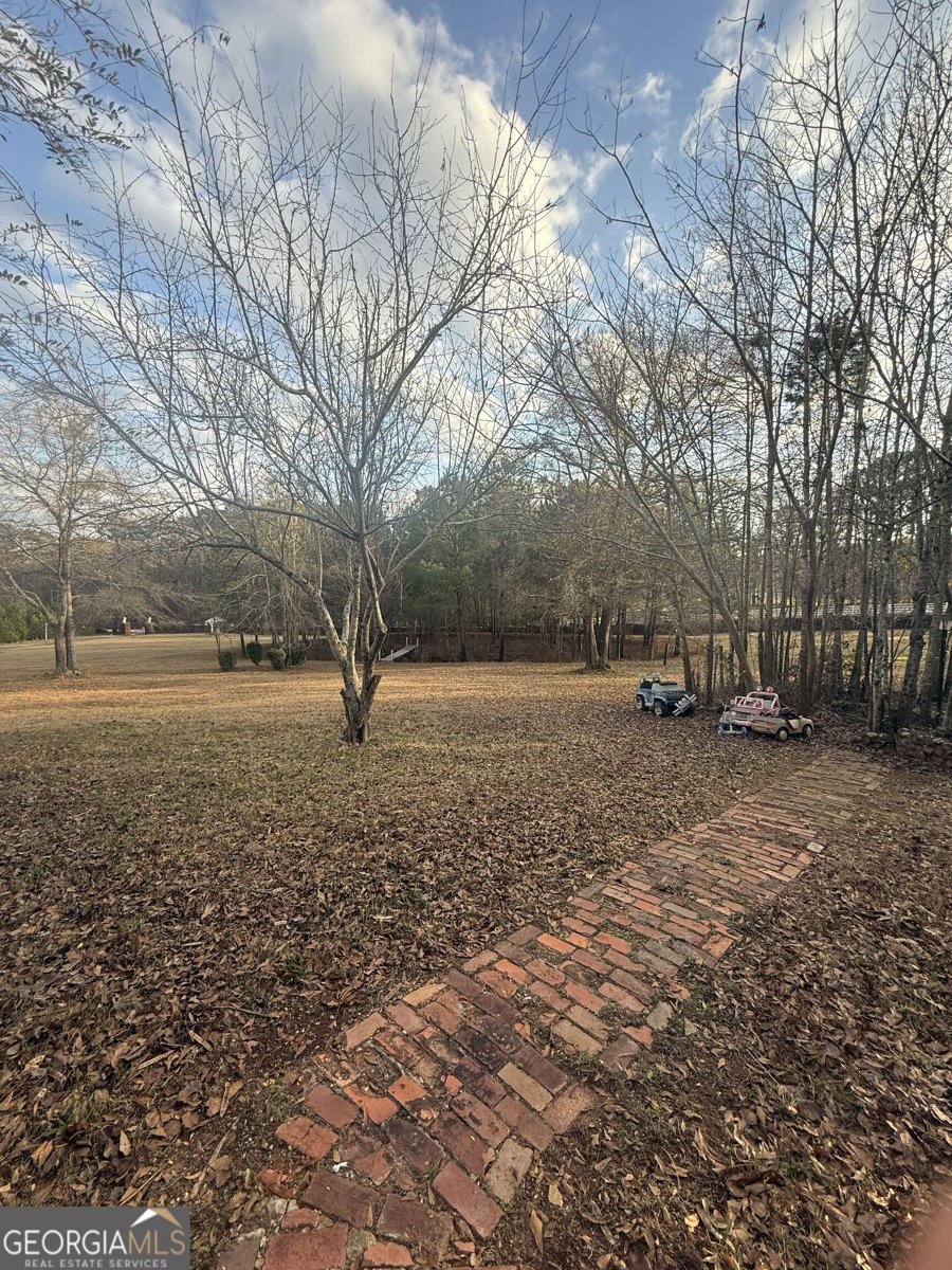 3861 Newnan Road Griffin - Photo 84