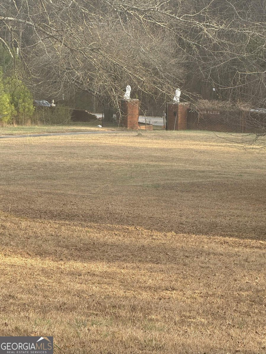 3861 Newnan Road Griffin - Photo 85