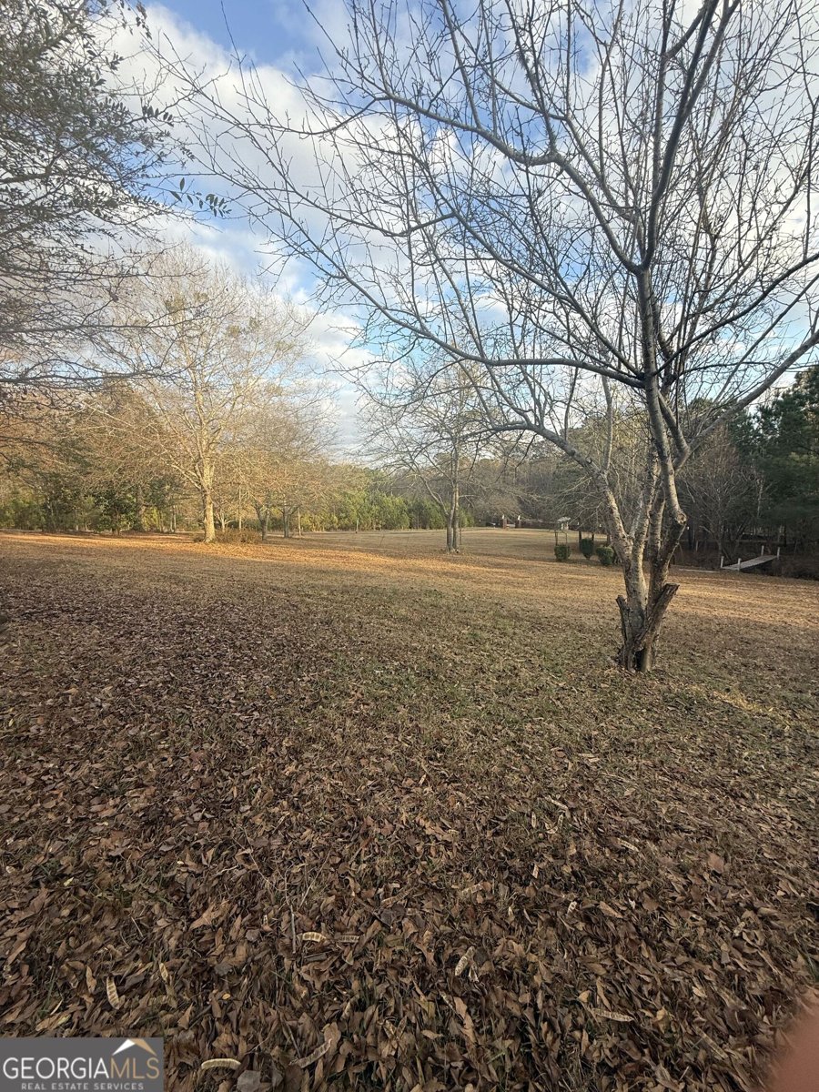 3861 Newnan Road Griffin - Photo 86