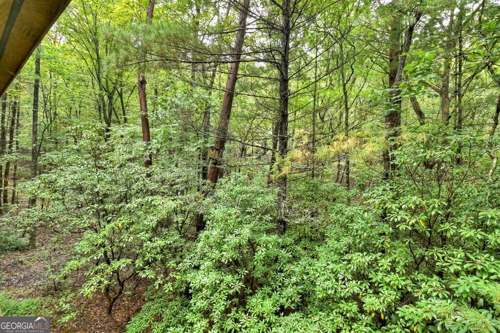 63 Posey Road Cherry Log - 17