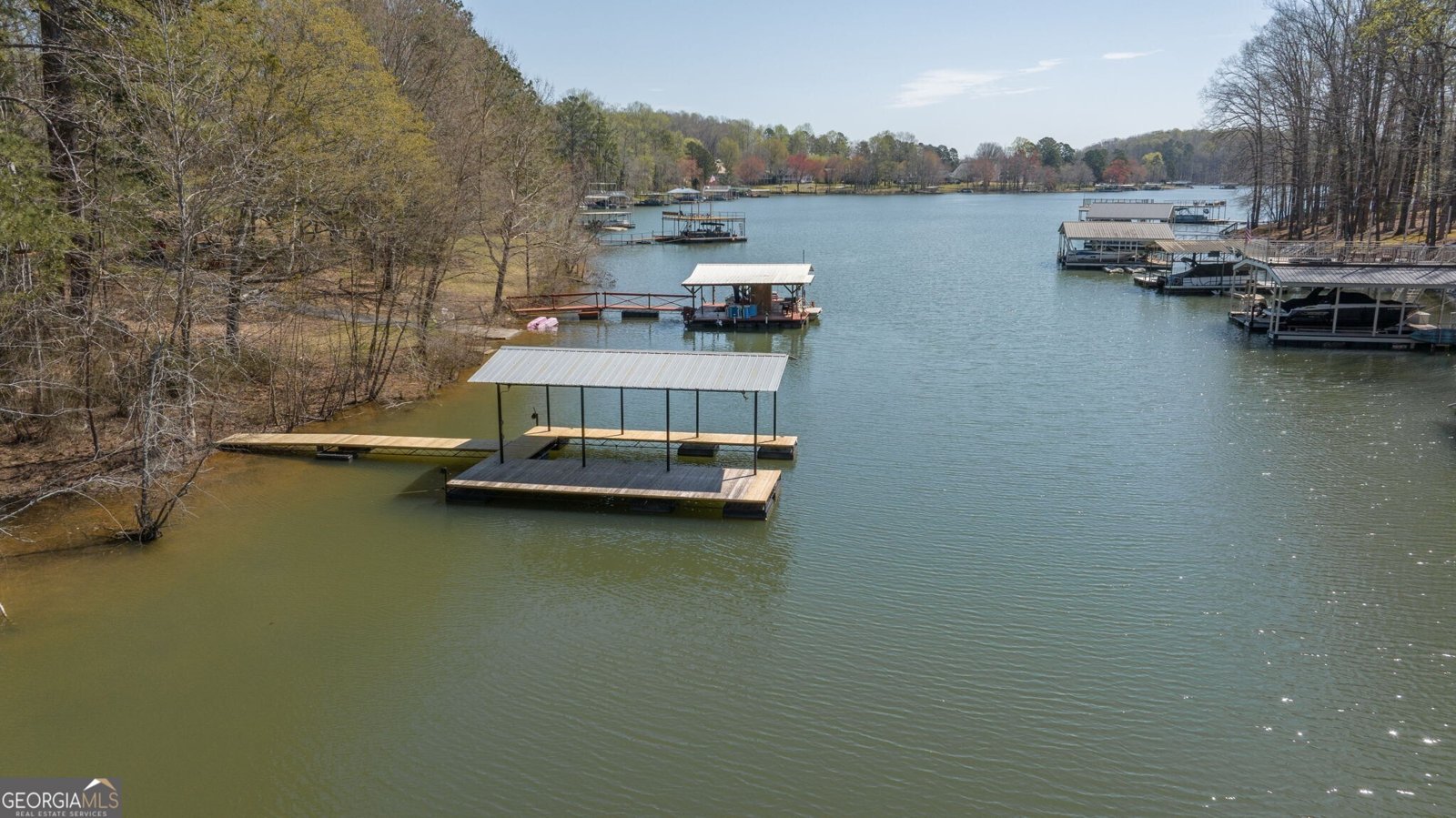 330 Lake Drive Dawsonville - 37