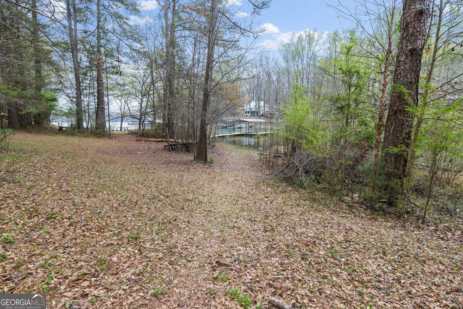 330 Lake Drive Dawsonville - 38