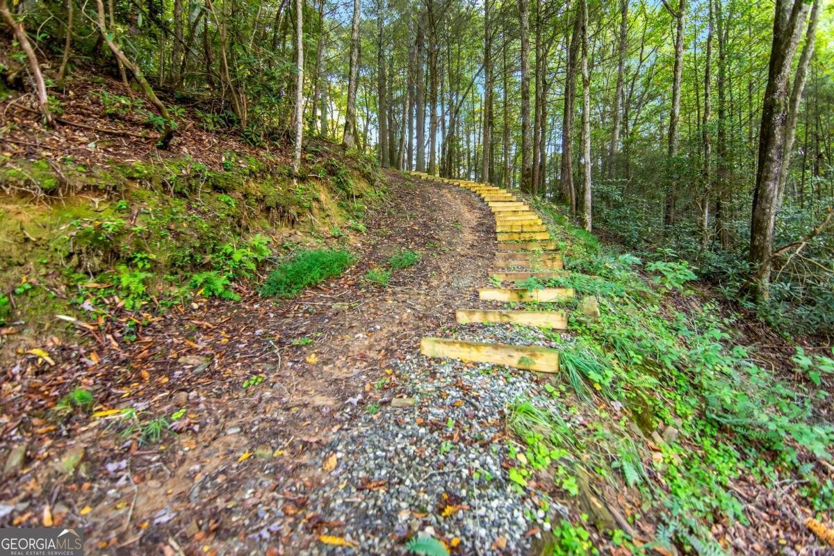 326 Ponderosa Road Ellijay - 36
