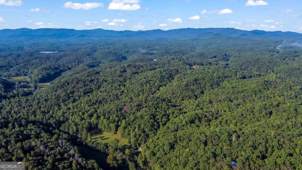 326 Ponderosa Road Ellijay - 44