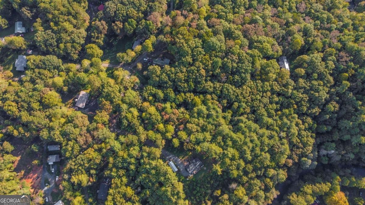 326 Ponderosa Road Ellijay - 45