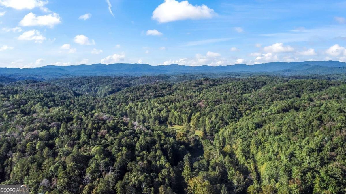 326 Ponderosa Road Ellijay - 51