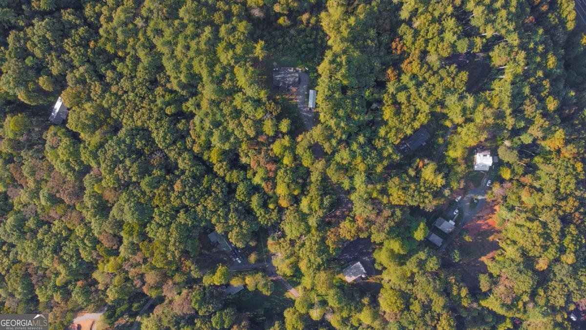 326 Ponderosa Road Ellijay - 55