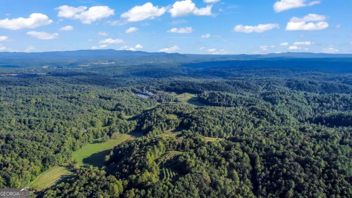 326 Ponderosa Road Ellijay - 58