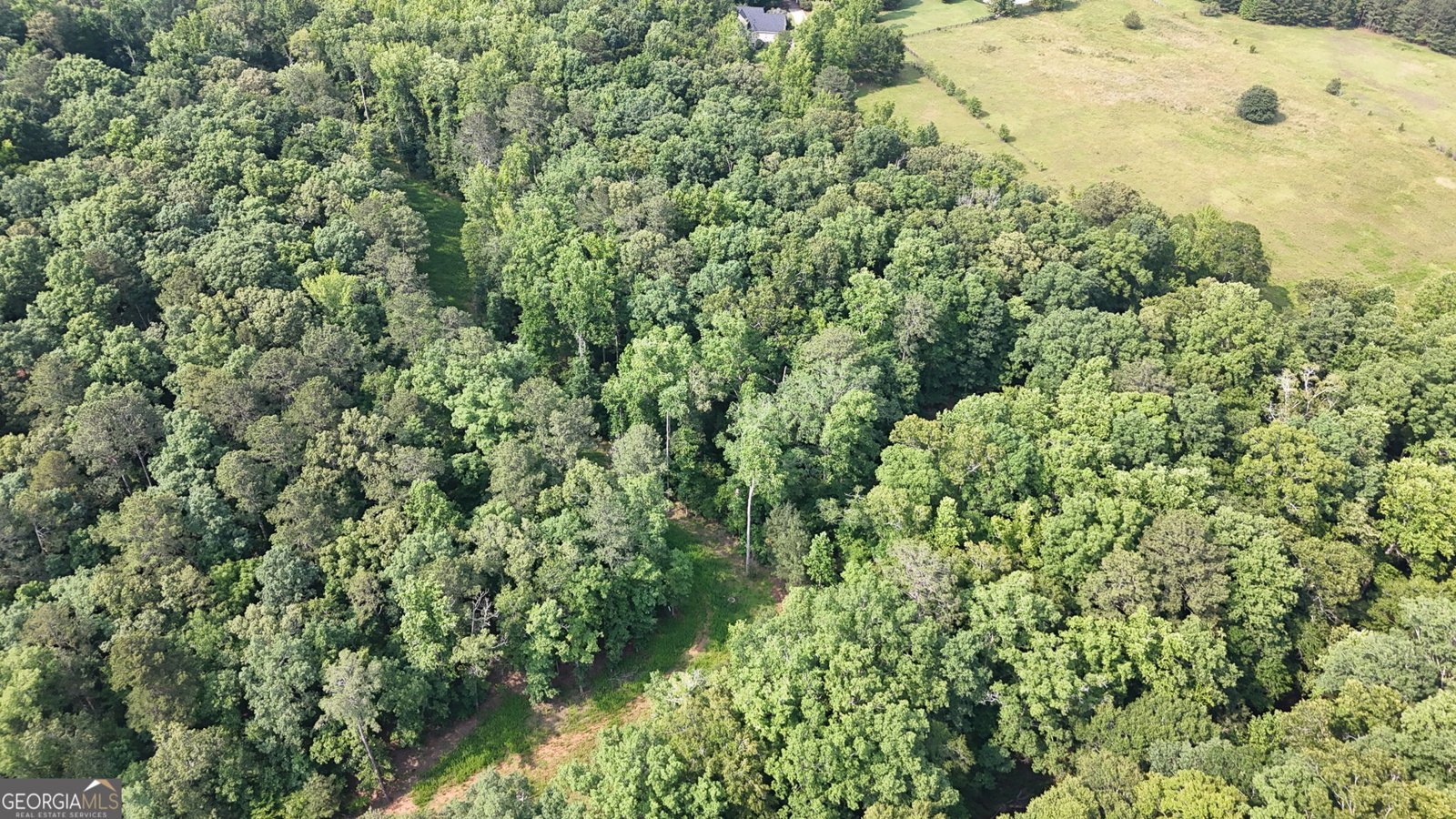 1561 Aiken Chafin Lane McDonough - 46