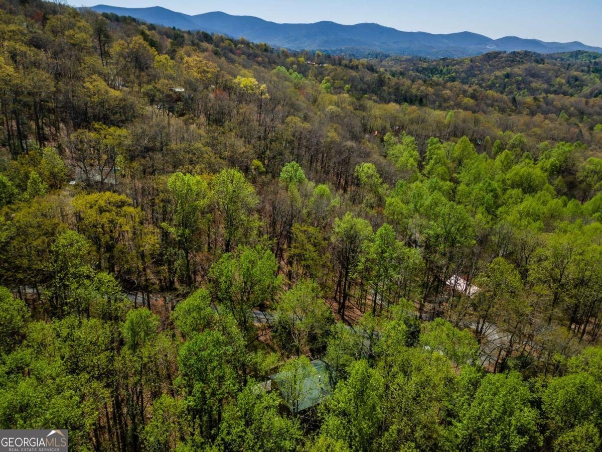 266 Chimney Rock Road Cherry Log - 4