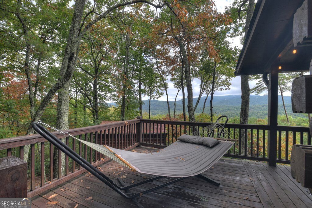 95 Rosiey Lane Blue Ridge - 10