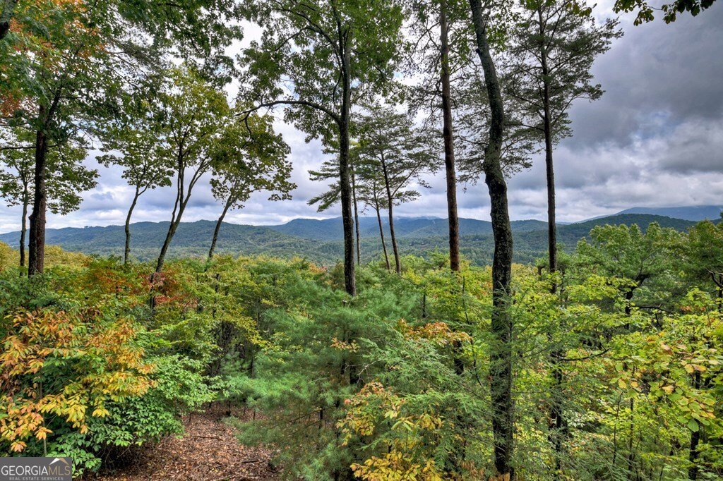 95 Rosiey Lane Blue Ridge - 13