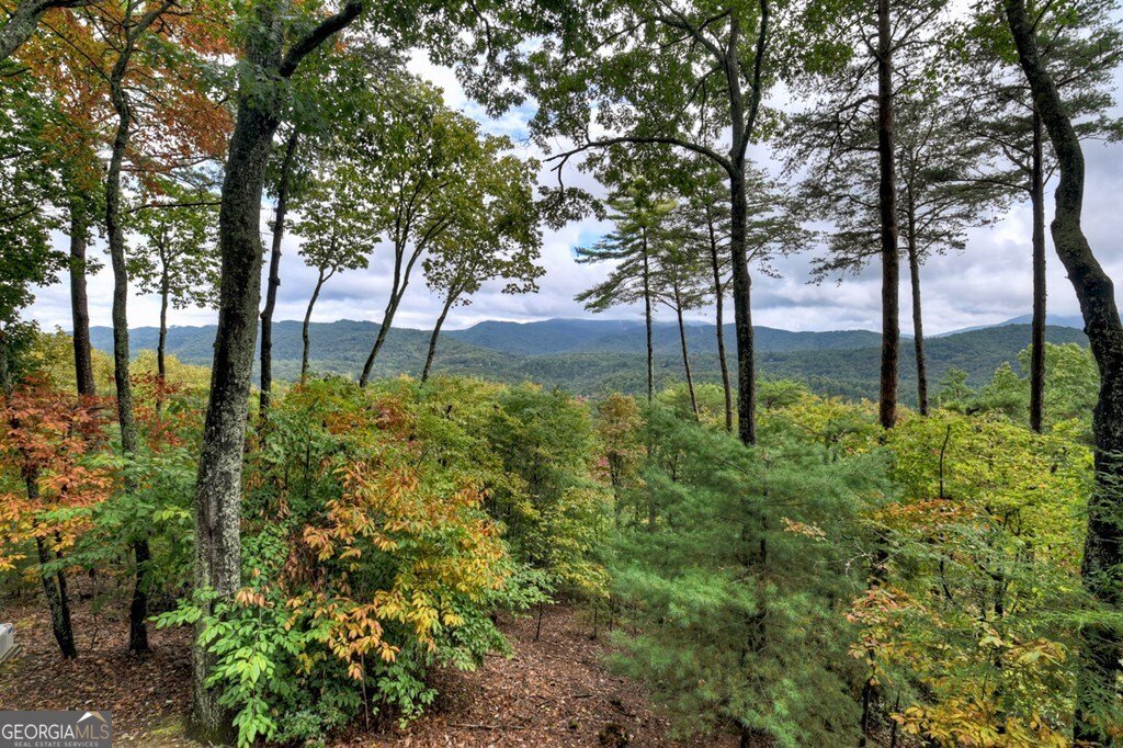 95 Rosiey Lane Blue Ridge - 15