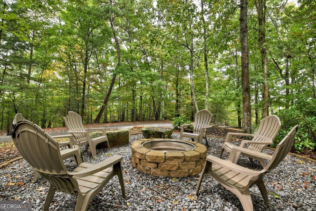 95 Rosiey Lane Blue Ridge - 19