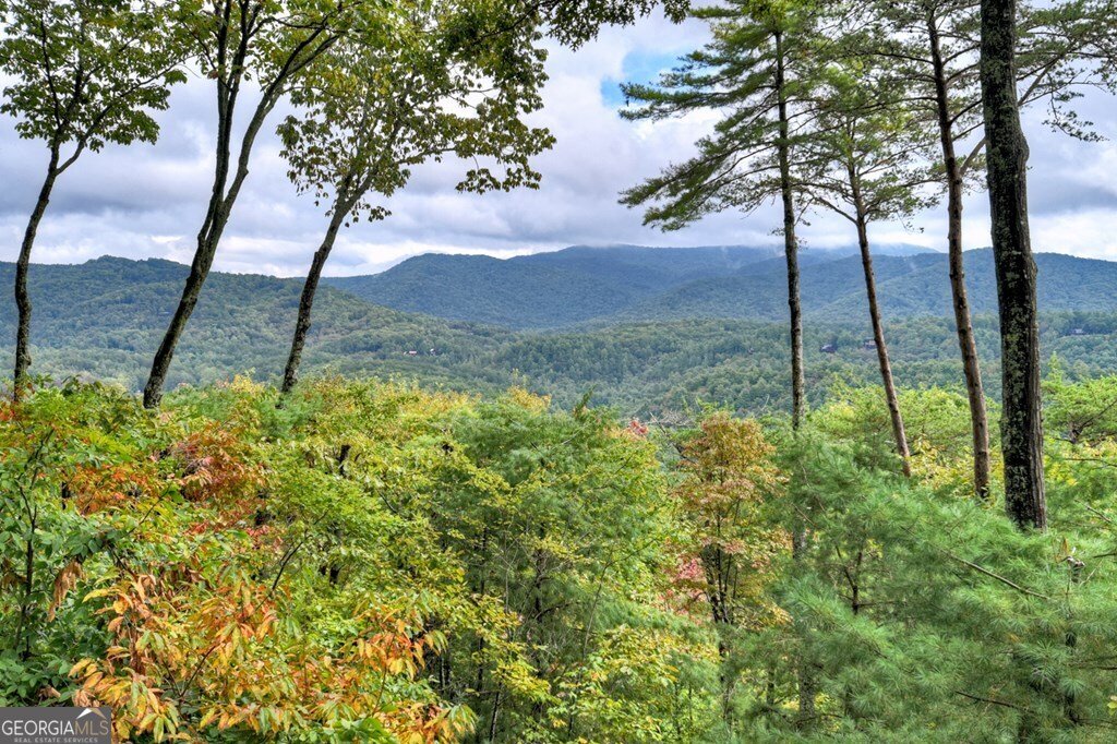 95 Rosiey Lane Blue Ridge - 2