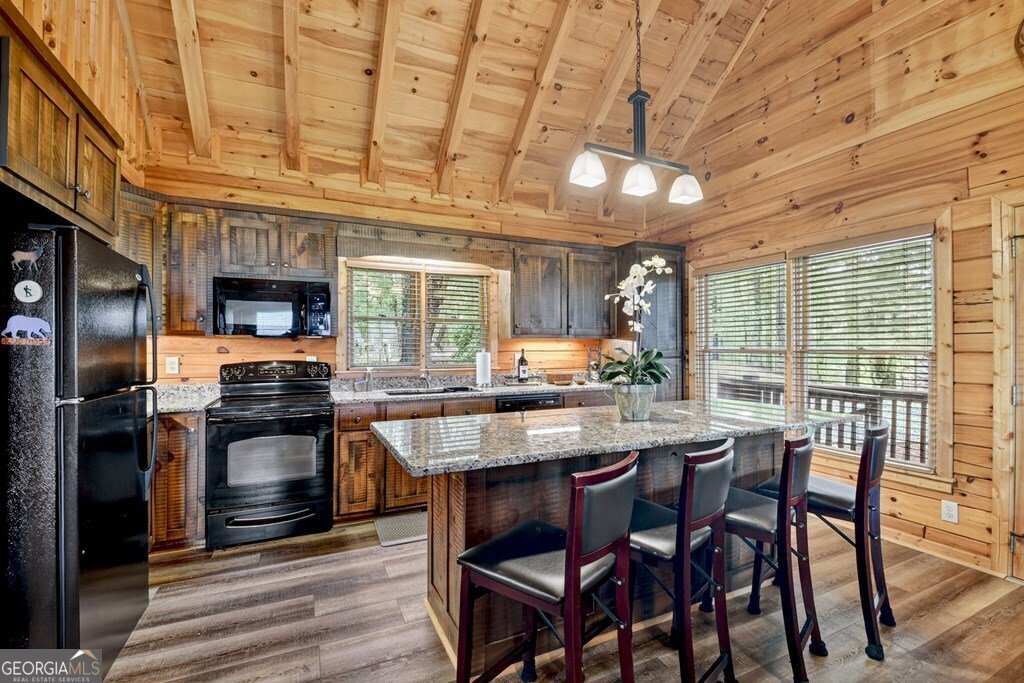 95 Rosiey Lane Blue Ridge - 4