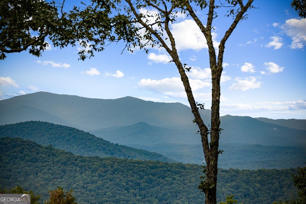 260 Huckleberry Hollow Morganton - 27