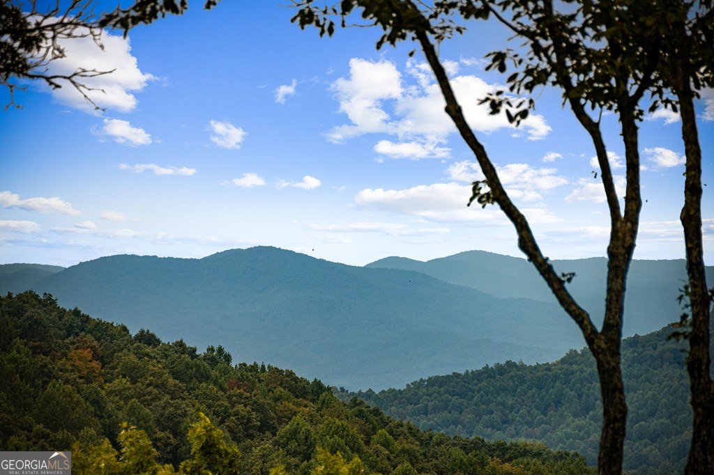 260 Huckleberry Hollow Morganton - 29