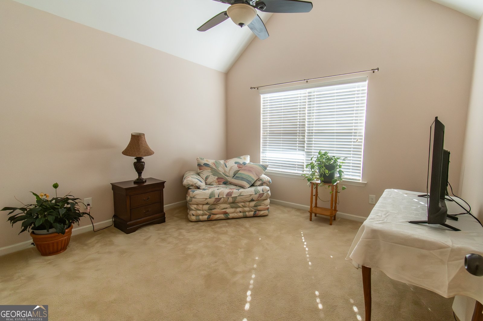 110 Lindsey Terrace Fayetteville - 17
