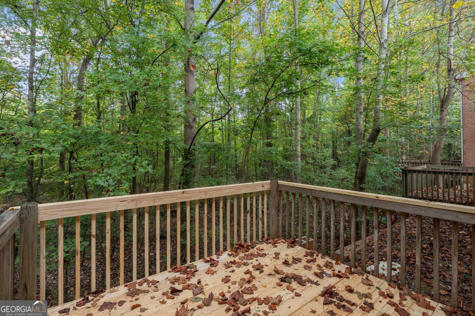 6033 Creekerton Boulevard McDonough - 19