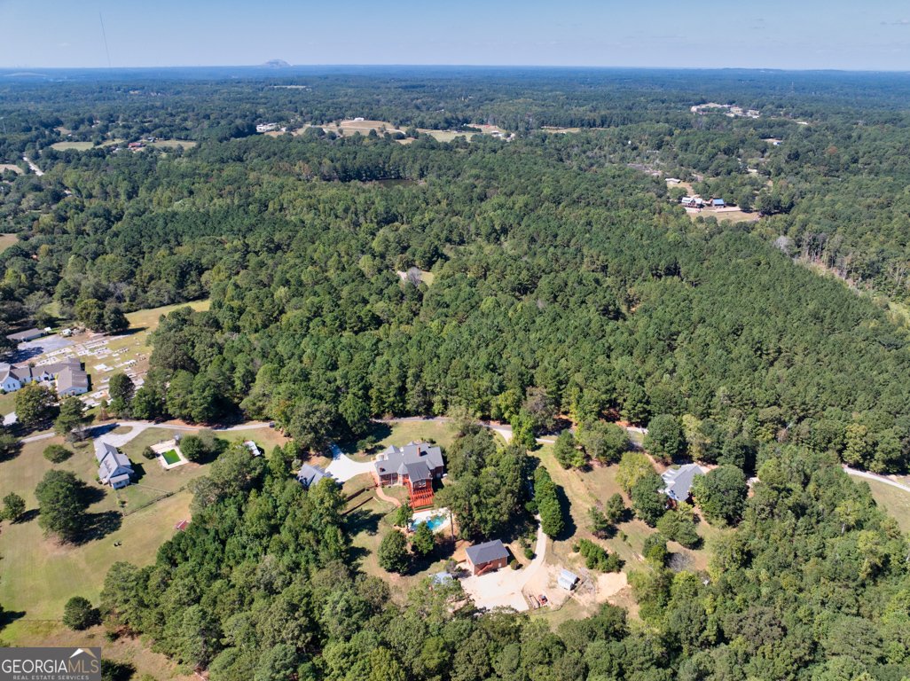 2240 Wilzman Trail Conyers - 68
