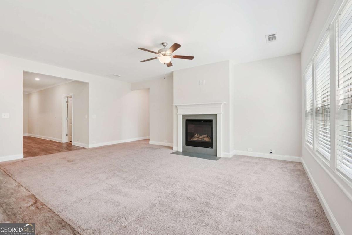 203 Neese Farm Drive Woodstock - 10