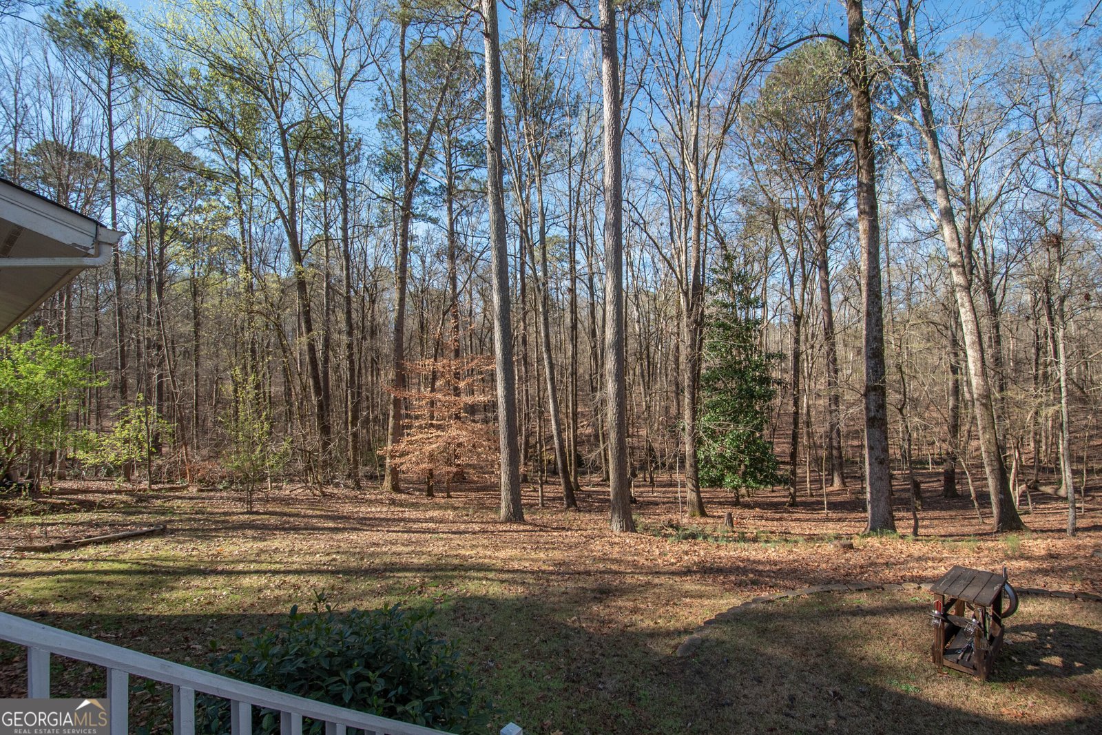 207 Lakeshore Way Lagrange - 47
