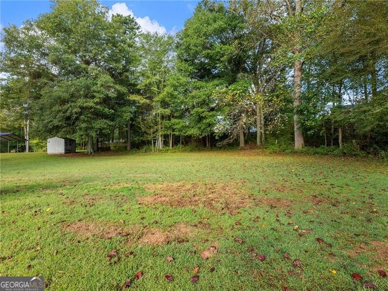 107 Holiday Road Buford - 11