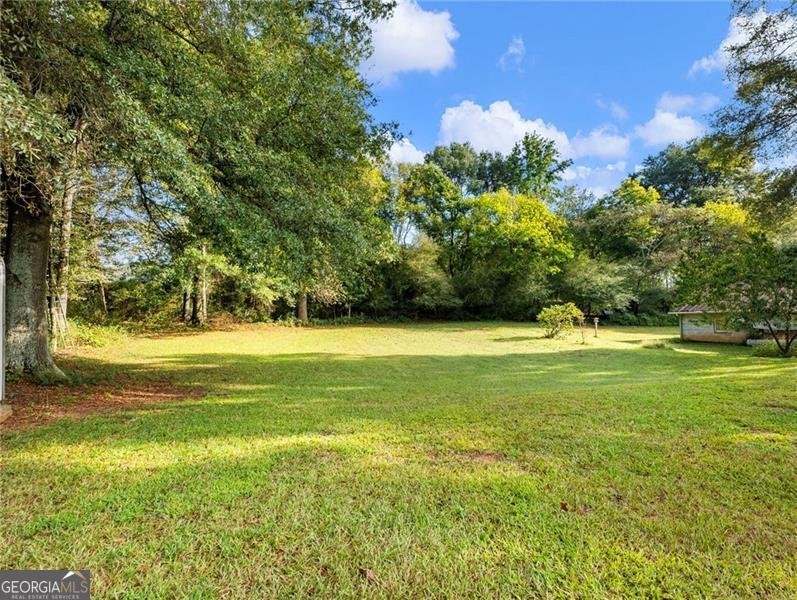 107 Holiday Road Buford - 9