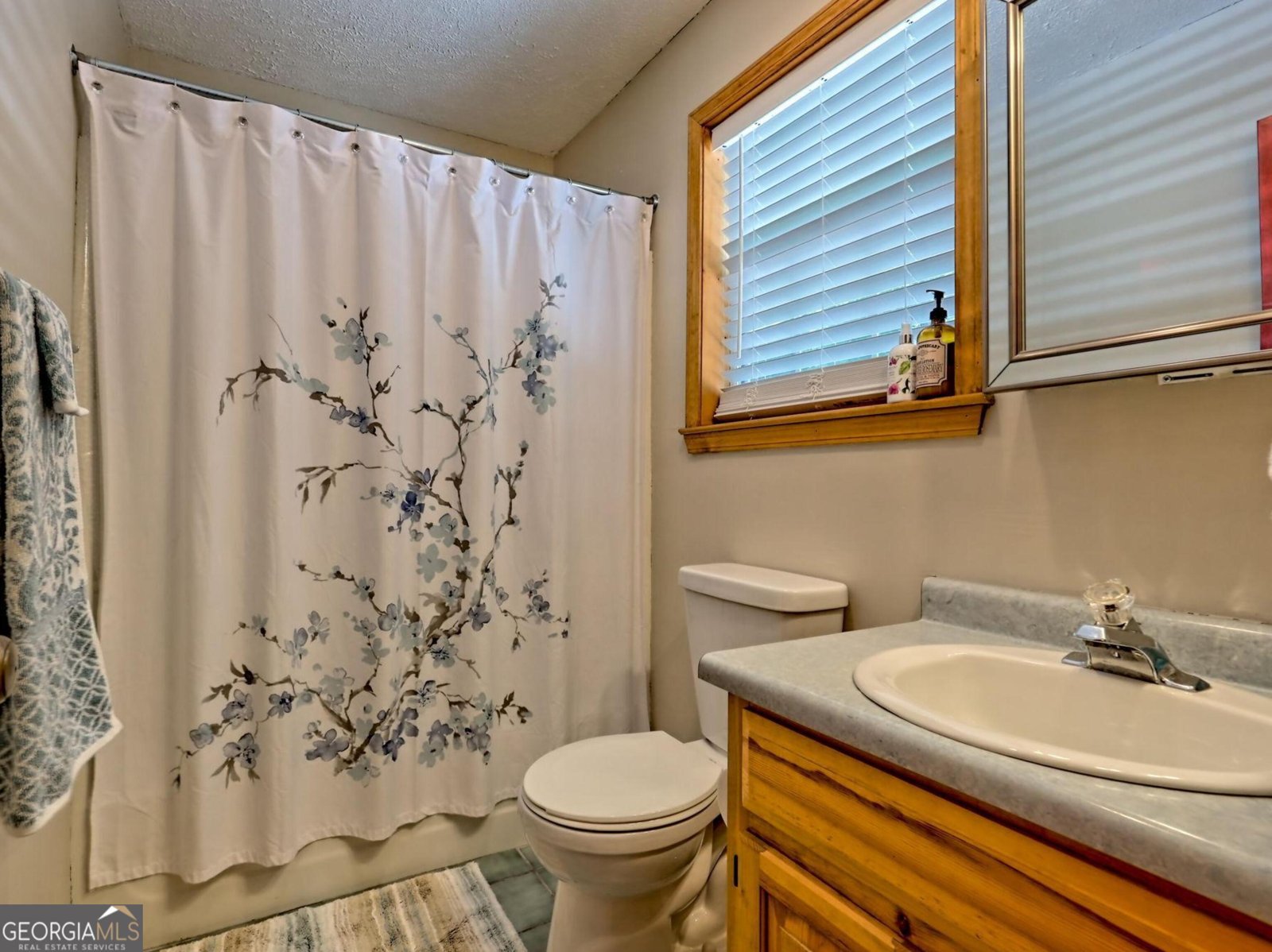249 Spruce Creek Road Lakemont - 23