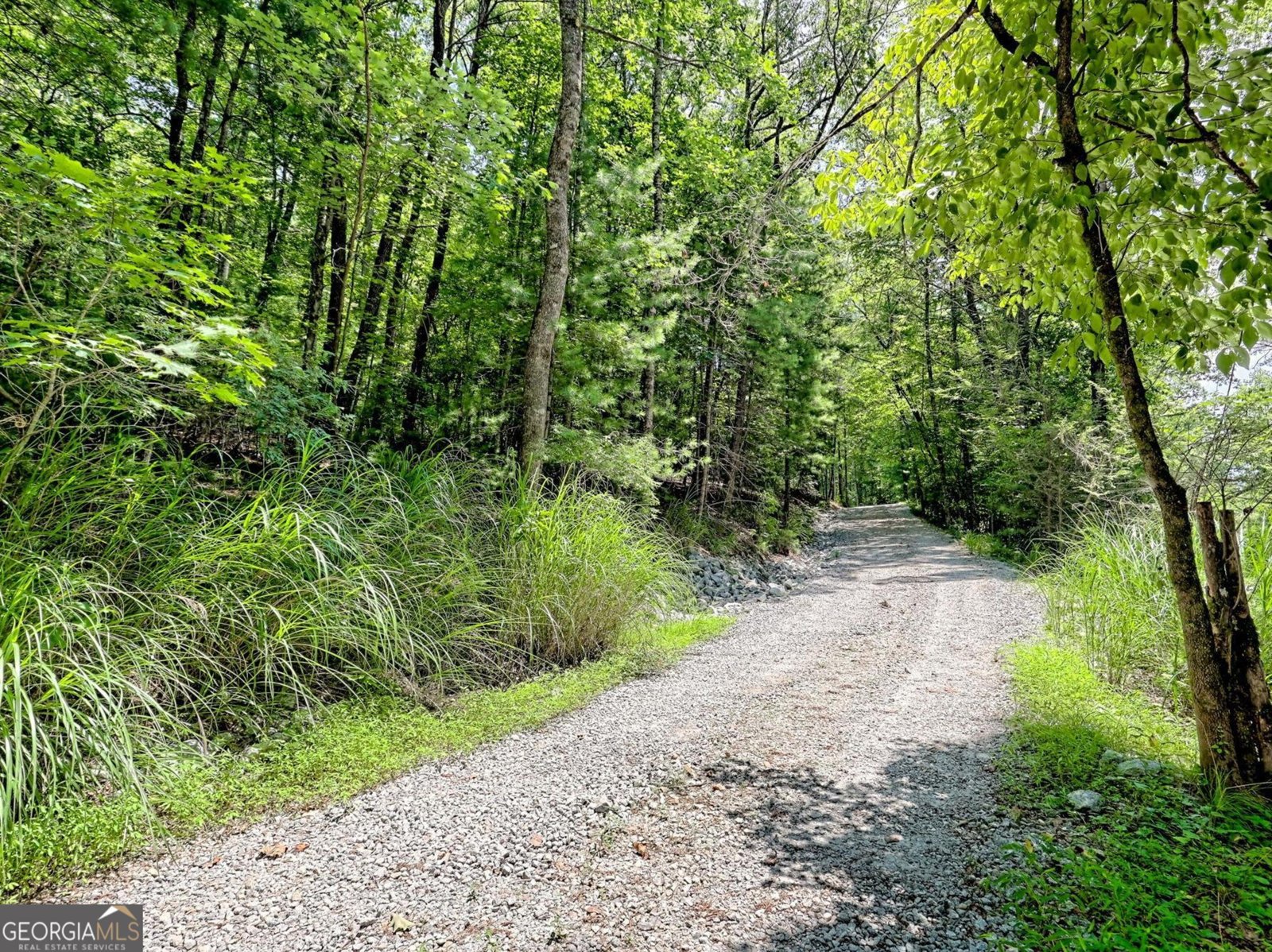 249 Spruce Creek Road Lakemont - 5