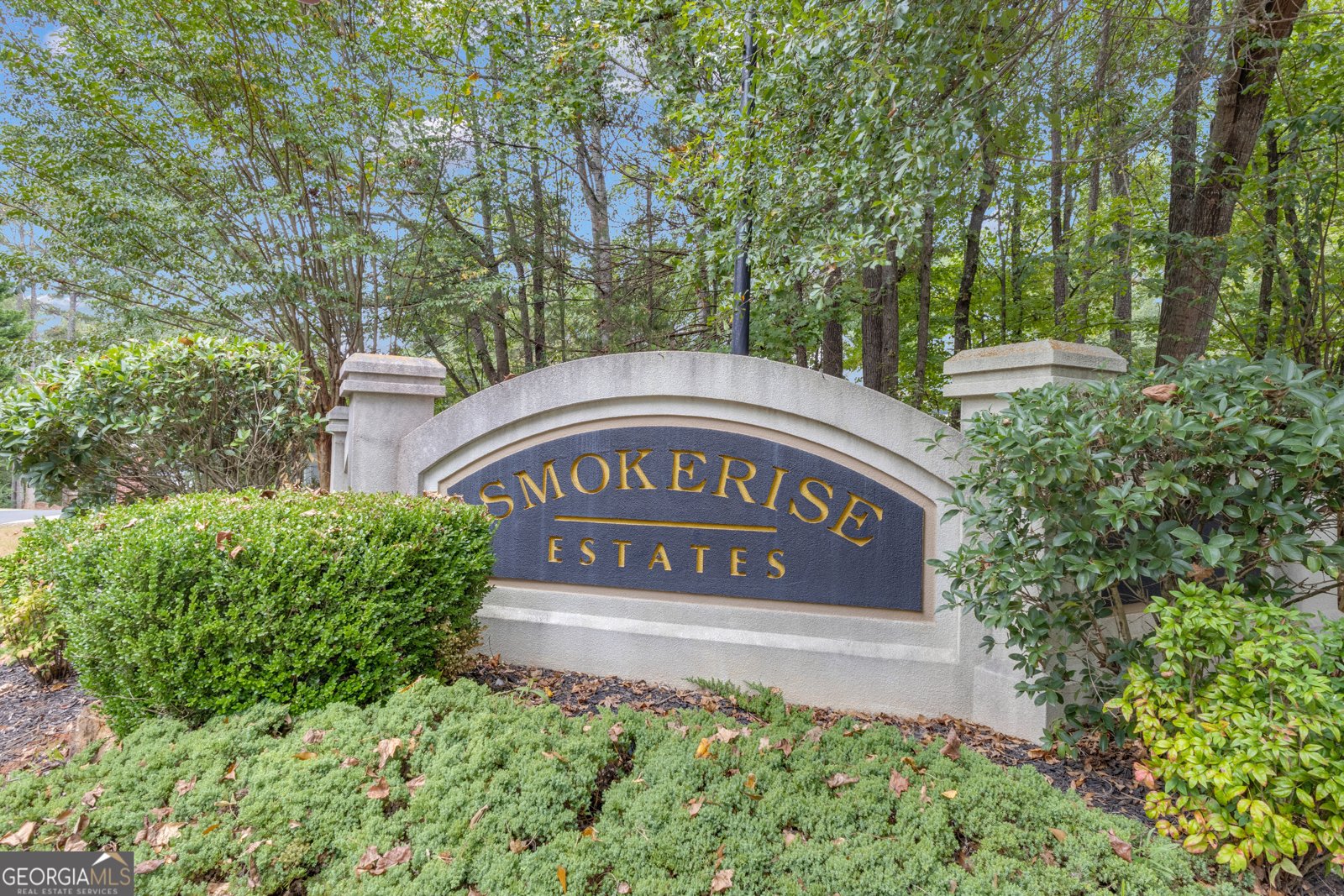 806 Smokey Way Peachtree City - 59